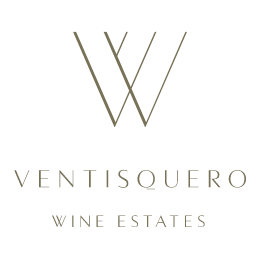 Logo Ventisqueiro - Meu Lance é Vinho