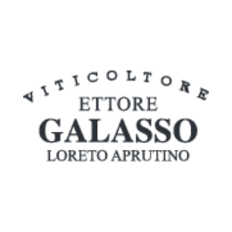 Viticoltore Ettore Galasso - Loreto Aprutino - Meu lance é vinho
